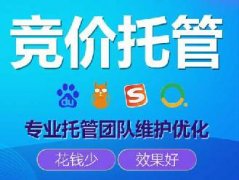 托管競(jìng)價(jià)托管推廣公司